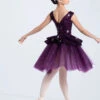 Weissman Introspective -Dance Costume Store 14661 eggplant 6903 17718.1697693656