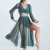 Weissman Phoenix -Dance Costume Store wn15694 pine 5325 84054.1694045761